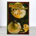 Мицелий гриба Груздь Настоящий, 10г